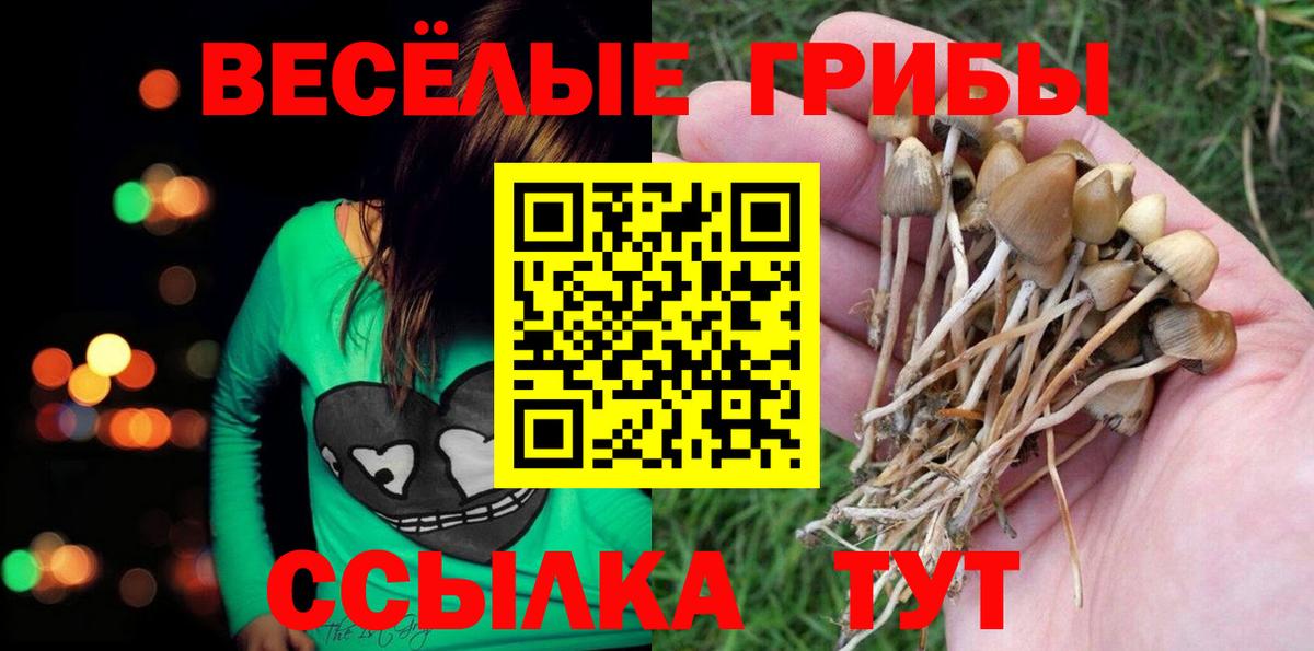 Псилоцибиновые грибы MAGIC MUSHROOMS Первоуральск